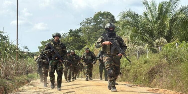 Operación Catatumbo: Incautan 200 granadas de mortero en la Zona Binacional