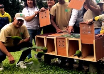 Liberación de especies en el Ávila: un espectáculo natural que reafirma el compromiso con la biodiversidad