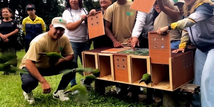 Liberación de especies en el Ávila: un espectáculo natural que reafirma el compromiso con la biodiversidad