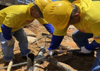 Controlada fuga de gas en la Urb. La Rosaleda y liberado paso vial tras caída de un árbol