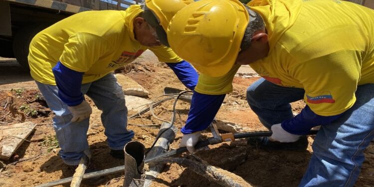 Controlada fuga de gas en la Urb. La Rosaleda y liberado paso vial tras caída de un árbol