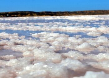Alianza estratégica concreta explotación de las salinas de Araya