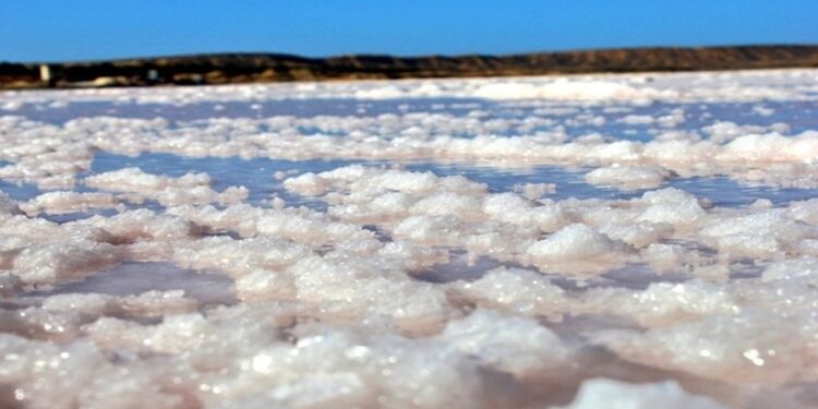 Alianza estratégica concreta explotación de las salinas de Araya