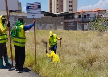Dueños de terrenos abandonados en Maracaibo deben acudir al IMA ¡Cuentas claras!