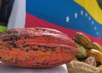 Presentan «Plan Rector del Cacao Merideño» en el municipio Obispo Ramos de Lora