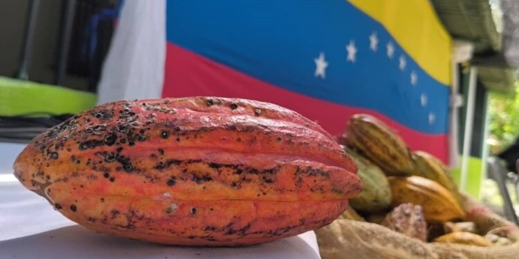 Presentan «Plan Rector del Cacao Merideño» en el municipio Obispo Ramos de Lora