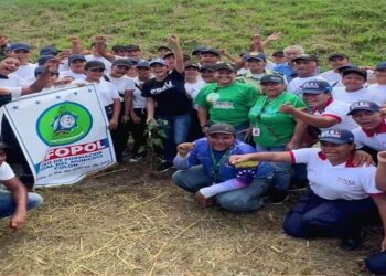 Alcaldía Bolivariana de Colón sembró 50 Árboles en Jornada de Reforestación en la avenida Universidad