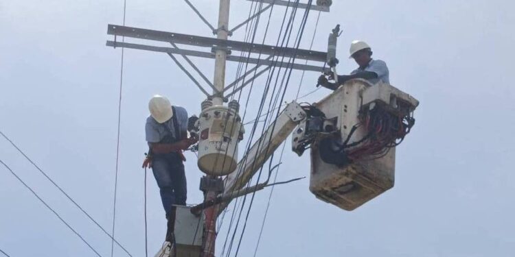 Labores correctivas fortalecen red eléctrica y alumbrado público en los circuitos Torres y Saladillo