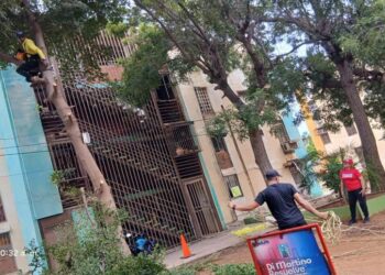 Dirección de Residencias y Urbanismos realizó jornada de saneamiento en Francisco E. Bustamante