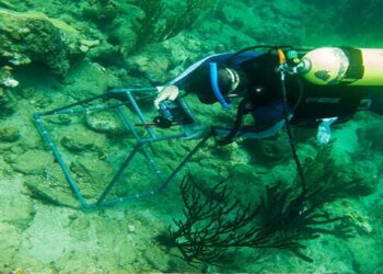 Investigadores venezolanos se unen a la red internacional de monitoreo de mares