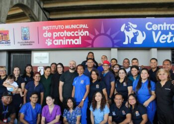 258 mascotas fueron esterilizadas en la jornada “Castralat 2025” (+Maracaibo)