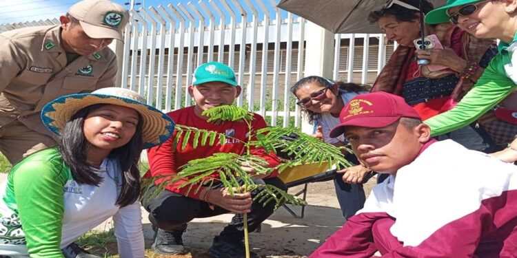 El Zulia celebra el Día Mundial de la Ecología con una masiva jornada de arborización