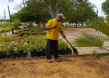 Instituto Municipal del Ambiente siembra árboles en el Parque El Bosque de la parroquia Raúl Leoni
