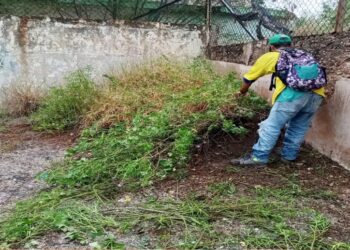Urbanizaciones Pomona y Palaima recibieron operativo de saneamiento ambiental