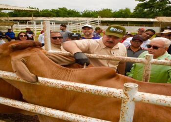 Inicia segundo ciclo de vacunación contra la fiebre aftosa
