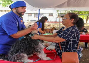 ¡En 3 meses! Instituto Municipal de Protección Animal supera las mil esterilizaciones y más de 5.000 atenciones