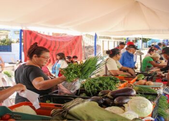 Adultos y adultas mayores son atendidos integralmente en las jornadas de la Alcaldía de Maracaibo
