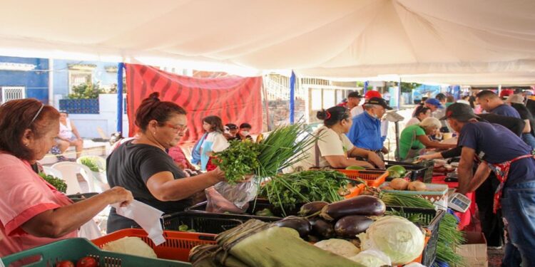 Adultos y adultas mayores son atendidos integralmente en las jornadas de la Alcaldía de Maracaibo