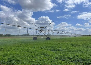 Gobernación del Zulia reactiva producción agropecuaria ¡Afianza soberanía alimentaria!