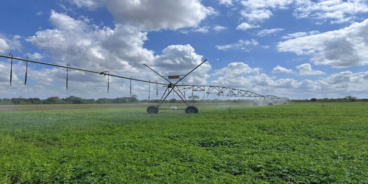 Gobernación del Zulia reactiva producción agropecuaria ¡Afianza soberanía alimentaria!