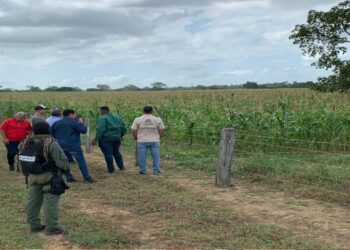 ¡Reactivación agrícola en marcha! Los tres niveles de gobierno impulsan producción en el Complejo «El Diluvio»