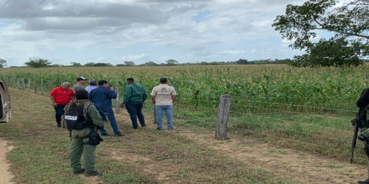 ¡Reactivación agrícola en marcha! Los tres niveles de gobierno impulsan producción en el Complejo «El Diluvio»