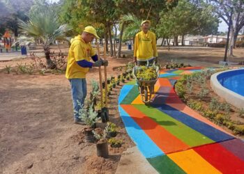 Alcaldía de Maracaibo trabaja en la recuperación integral de la Plaza El Bosque