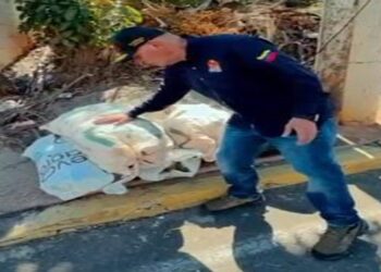 Mayor conciencia ciudadana exige el alcalde Di Martino en disposición de desechos (+Video)