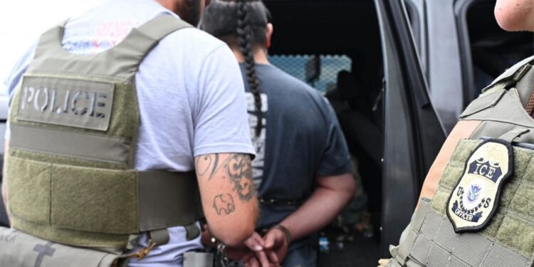 «Cosa horrible»: Trump reacciona al video del asesinato de una mujer por un agente del ICE