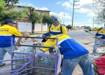¡Plan Carretilla Cero! Imau ha incautado 40 carretillas usadas para botar basura en las calles