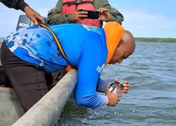 ¿Playas aptas? El ICLAM evalúa balnearios del Lago para los Carnavales 2026