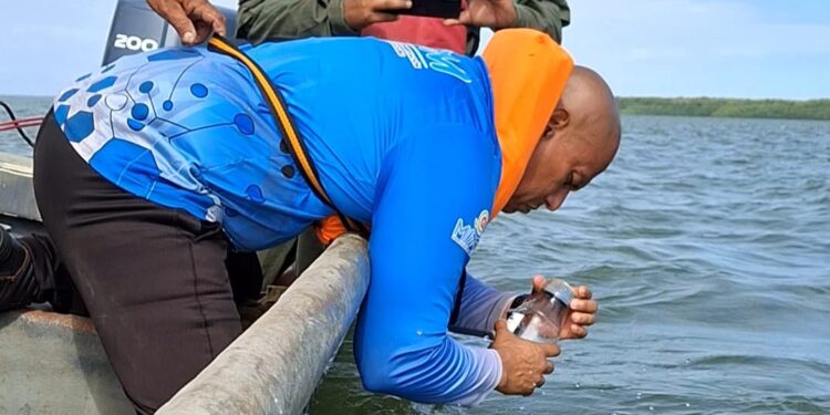 ¿Playas aptas? El ICLAM evalúa balnearios del Lago para los Carnavales 2026