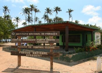 Morrocoy a un clic: Lanzan aplicación de registro para visitar el parque bajo el nuevo plan sostenible ¿De qué trata?