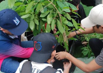 URBE clausura con éxito las Jornadas de Educación Ambiental “Dra. María del Rosario Rossell”