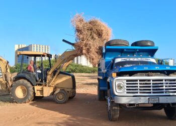 Más de 1.600 toneladas de basura fueron recolectadas por el IARA en jornadas integrales