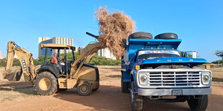 Más de 1.600 toneladas de basura fueron recolectadas por el IARA en jornadas integrales