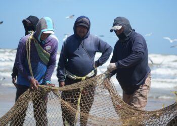 Gobierno fortalece sector pesquero en el municipio Guajira ¡Se realizó censo!