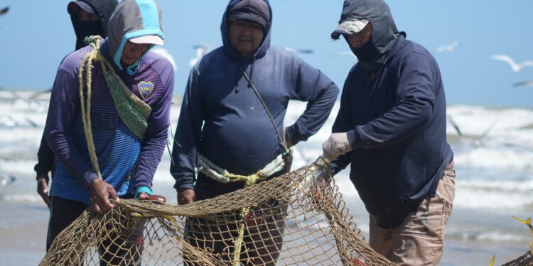 Gobierno fortalece sector pesquero en el municipio Guajira ¡Se realizó censo!