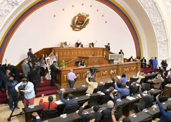 AN avanza en la reforma de la Ley Orgánica de Minas ¡Aprueba 12 artículos!