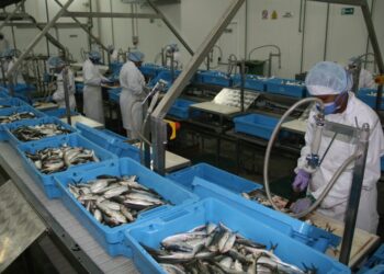 Presidenta (E) Delcy Rodriguez inspecciona planta procesadora de productos del mar ¡Fortalecer exportación!