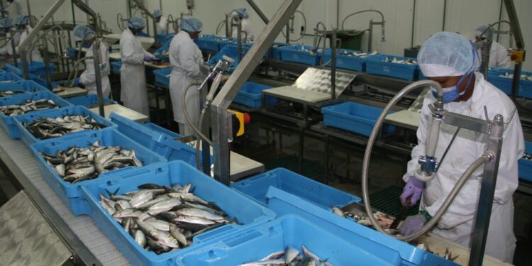 Presidenta (E) Delcy Rodriguez inspecciona planta procesadora de productos del mar ¡Fortalecer exportación!