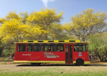 Tranvía de Maracaibo impulsa el turismo con la ruta emblemática al Jardín Botánico