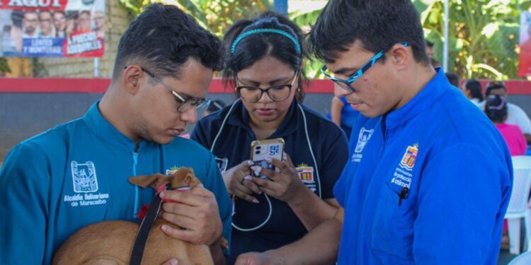 ¡Este sábado #07Mar en Villa Carmen! Jornada de vacunación para caninos y felinos realiza Alcaldía de Maracaibo
