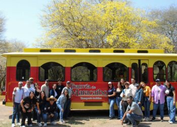 ¡Más de 100 hectáreas de bosque amarillo! Ruta del Tranvía de Maracaibo visitó floración de los curarires
