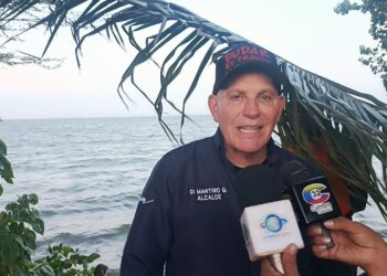 ¡Consulta Popular este #08Mar! Di Martino: “La mujer venezolana abandera el proceso revolucionario”