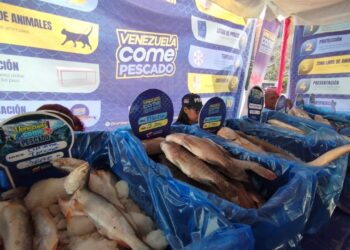 Más de 1.000 puntos de distribución activos de pescado en todo el territorio nacional