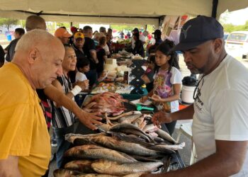 Arrancó Feria del Pescado de la Alcaldía de Maracaibo con subsidio de 30% y 40% ¡En 4 puntos de la ciudad!