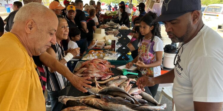 Arrancó Feria del Pescado de la Alcaldía de Maracaibo con subsidio de 30% y 40% ¡En 4 puntos de la ciudad!