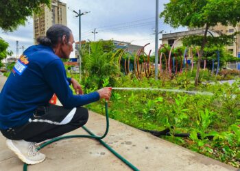 Más de 40 plazas reciben mantenimiento de SEDEPAR en Maracaibo