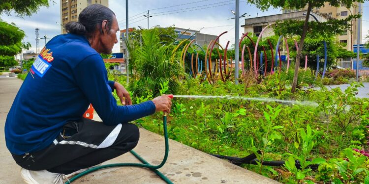 Más de 40 plazas reciben mantenimiento de SEDEPAR en Maracaibo
